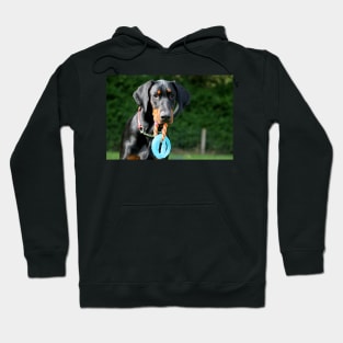 Darcy Hoodie